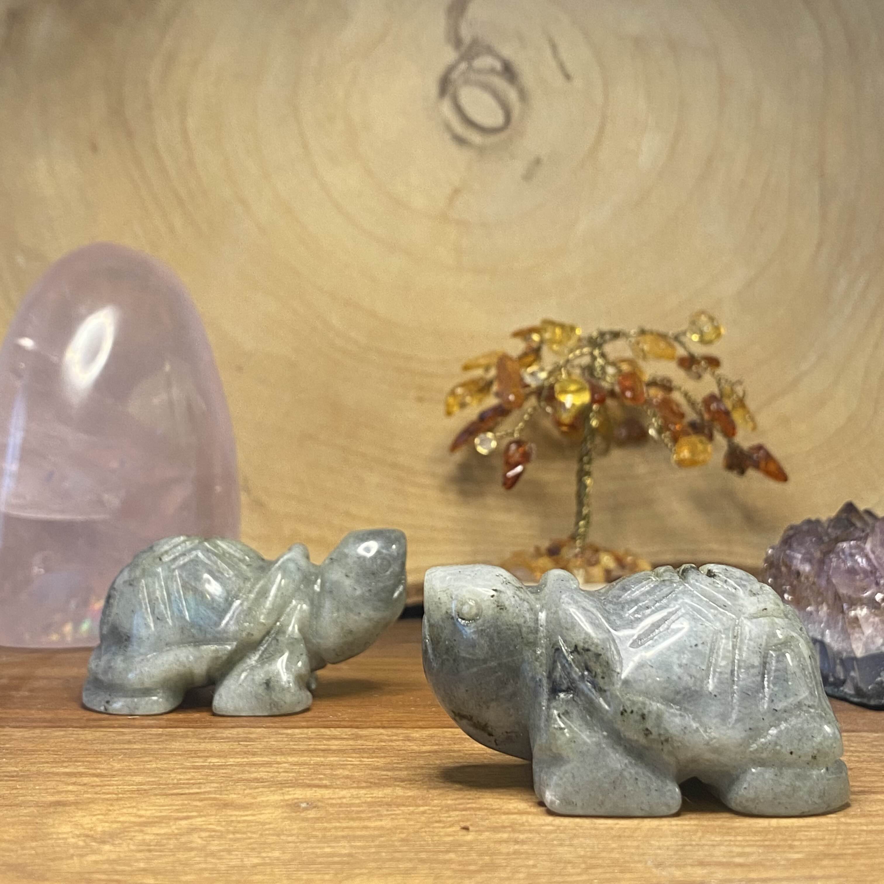 Tortue en Labradorite