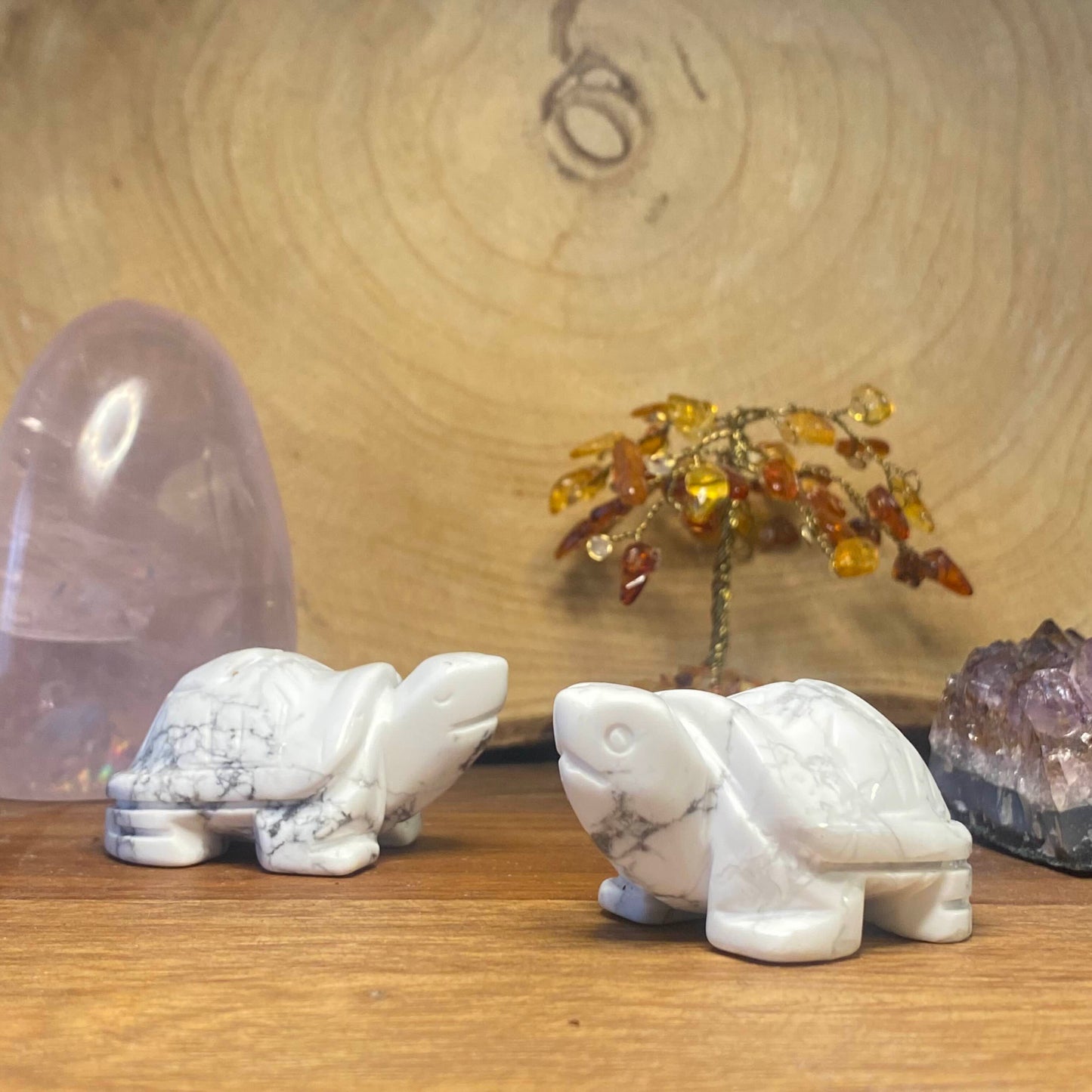 Tortue en Howlite