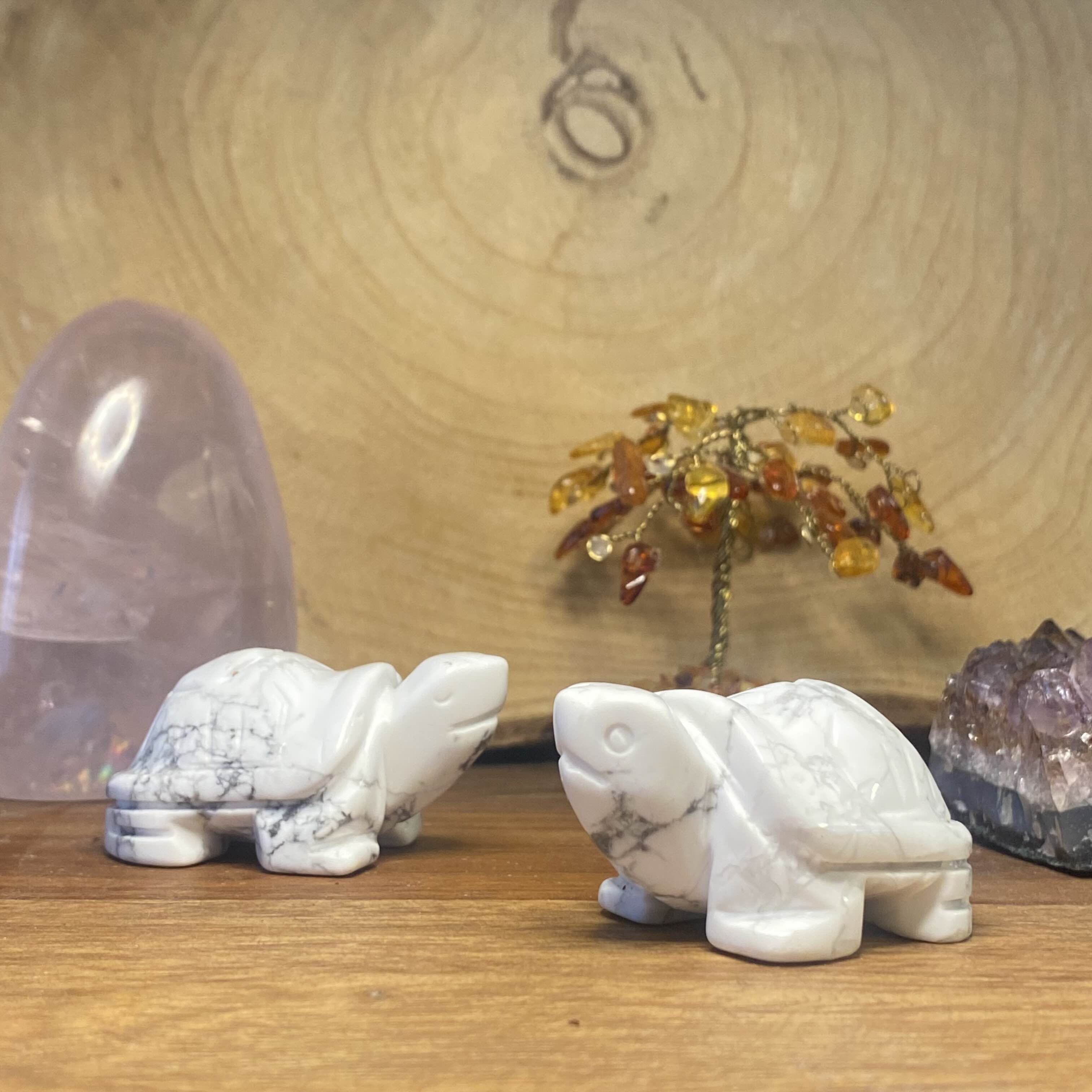 Tortue en Howlite