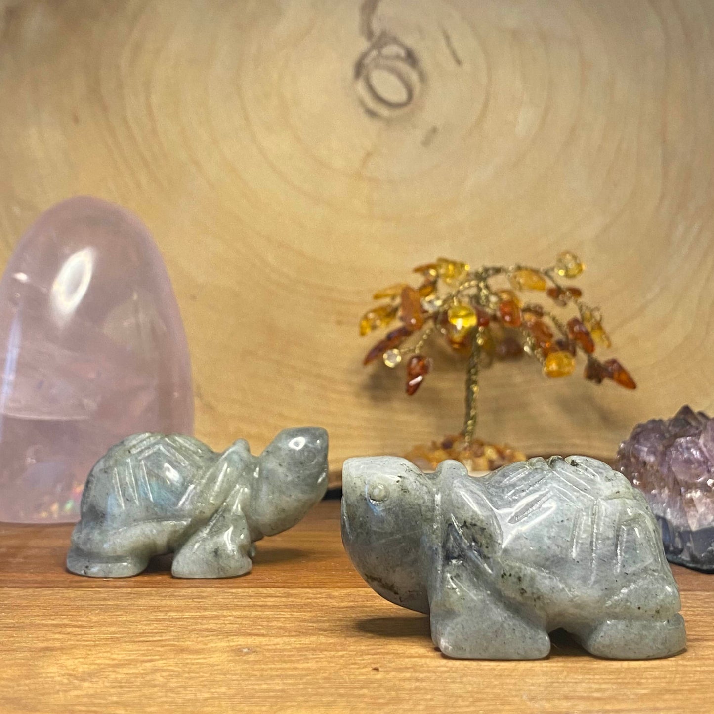 Tortue en Labradorite